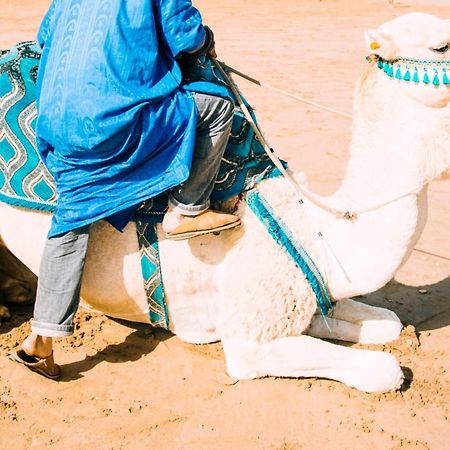 ホテル Oasis Luxury Camp メルズーガ エクステリア 写真